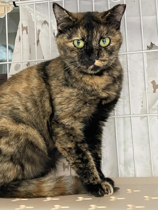 cleaned437_anna1221b