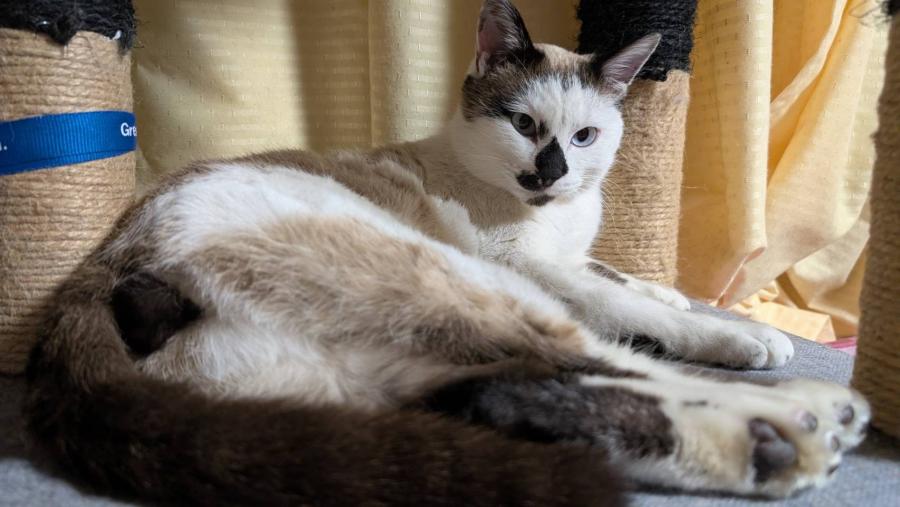 cleaned469_moko0220c