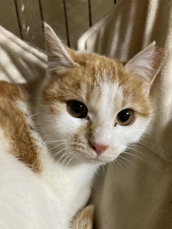 cleaned594206232592515470