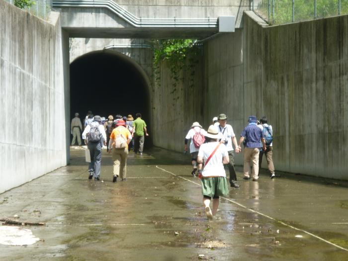 バイパス放水路の見学