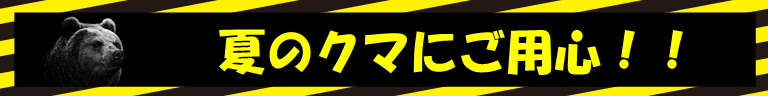 夏のクマにご注意2