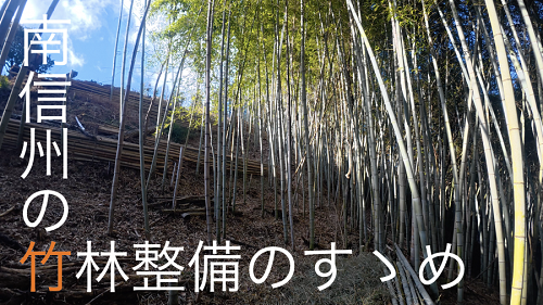 南信州の竹林整備のすゝめサムネイル