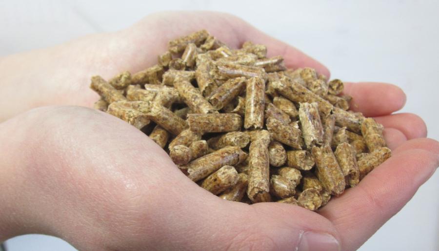 pellet