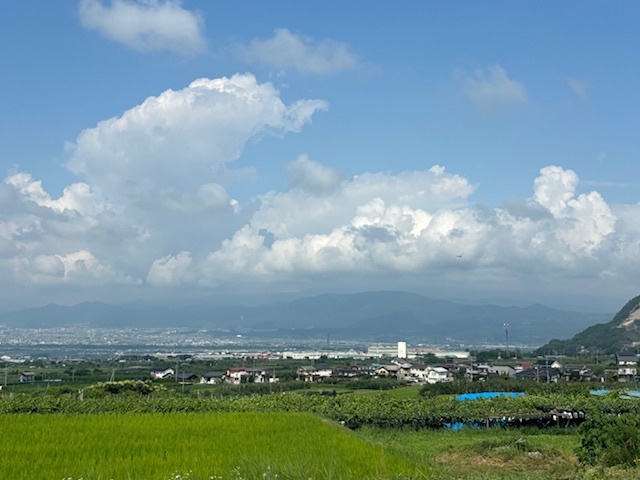 標高