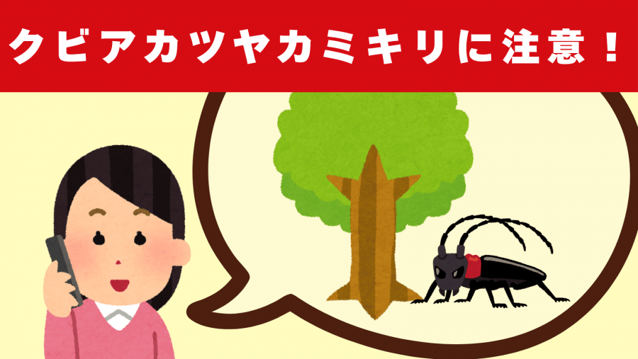 クビアカツヤカミキリ