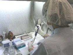 写真:BSE検査の様子
