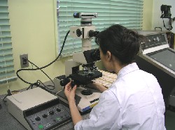 写真:病理検査の様子