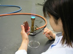 写真:細菌検査の様子