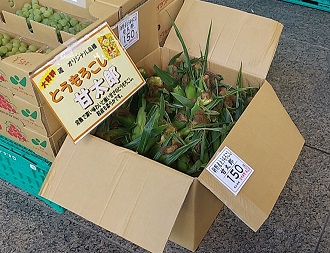 「蔵」農産物販売2