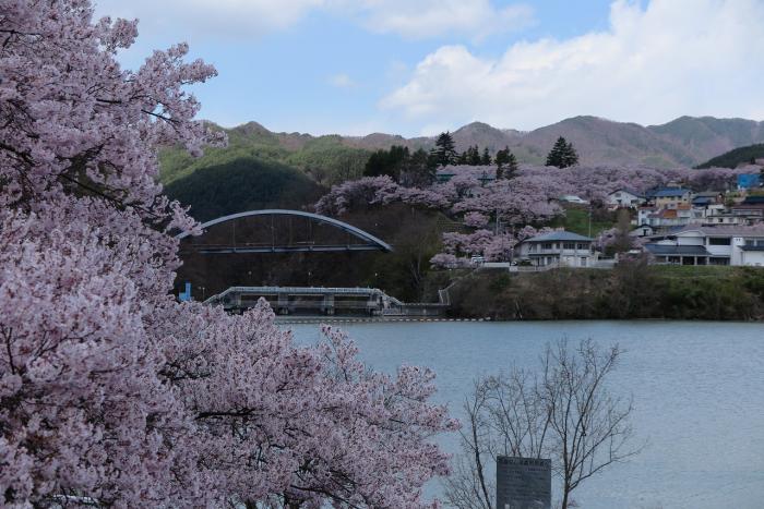 高遠の桜とダム