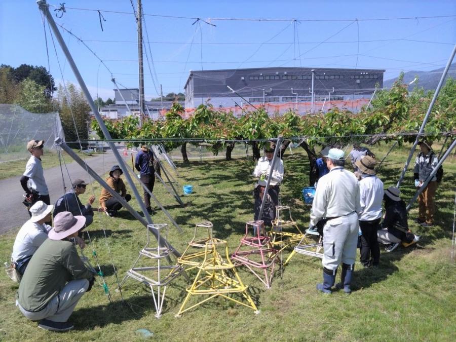 摘果作業の説明時の様子