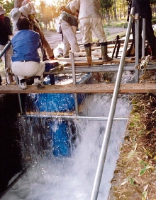 駒沢ミニ水力写真１
