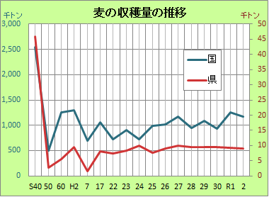 2021麦収穫量