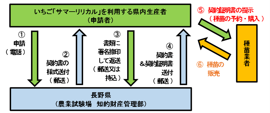 サマーリリカル手続きフロー