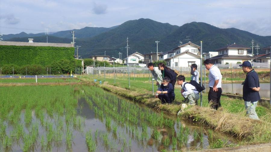 試験場が行っている試験について研修（分科会：普通作物）
