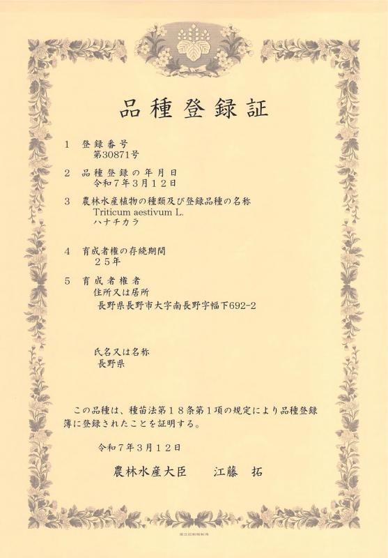 品種登録証（ハナチカラ）