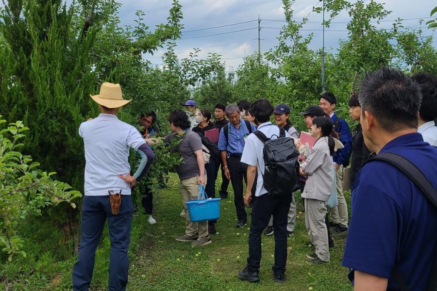 ほ場での病害虫の観察ポイントを研修(分科会:果樹(なし、かき以外))