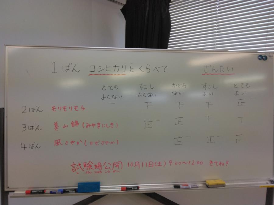 夏休み2