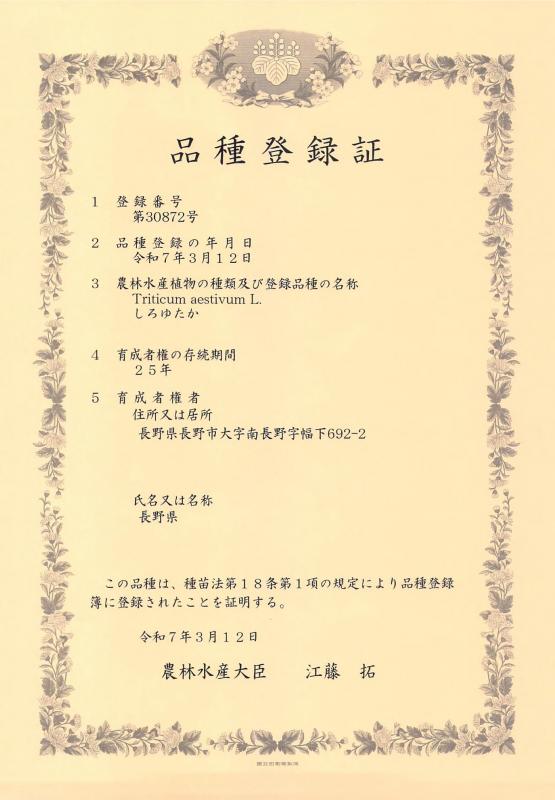 品種登録証（しろゆたか）