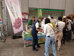 1005budou