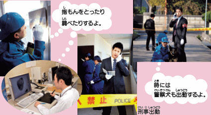 刑事警察（けいじけいさつ）