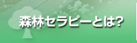 森林セラピーとは？