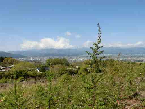 センターからの眺め