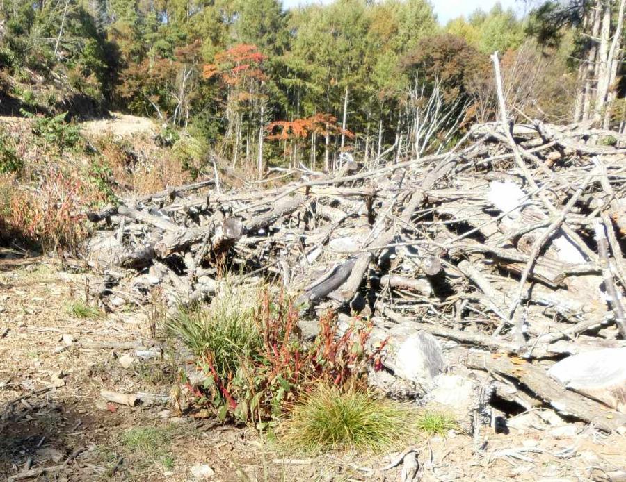 林地残材