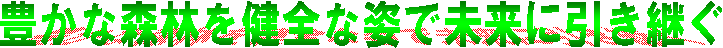 豊かな森林を健全な姿で未来に引き継ぐ
