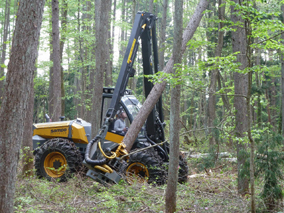 高性能林業機械による林業作業