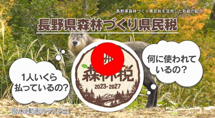 shinrinzeiPR