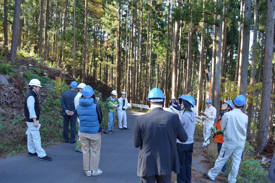 防災・減災のための間伐
