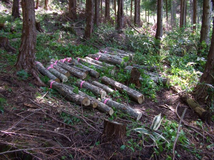 里山の利活用3