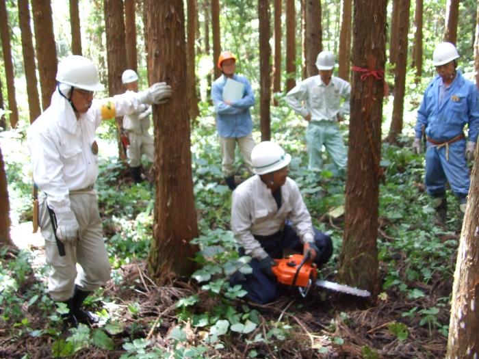 里山の利活用2