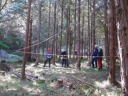学校林