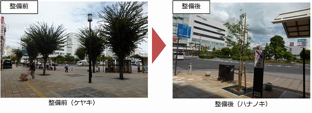 緑地