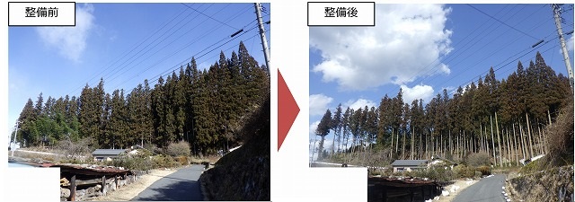 緩衝帯2