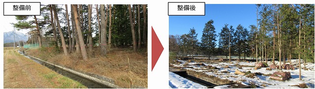 利活用