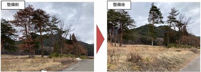 被害木