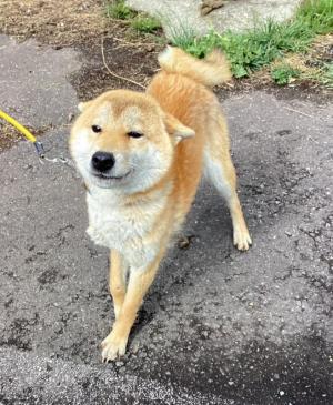 250508
