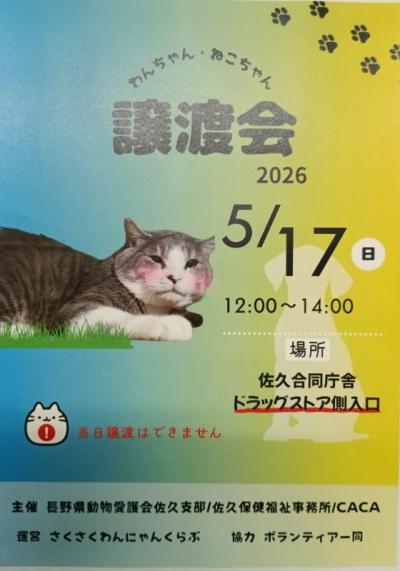 260415