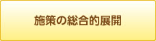 施策の総合的展開