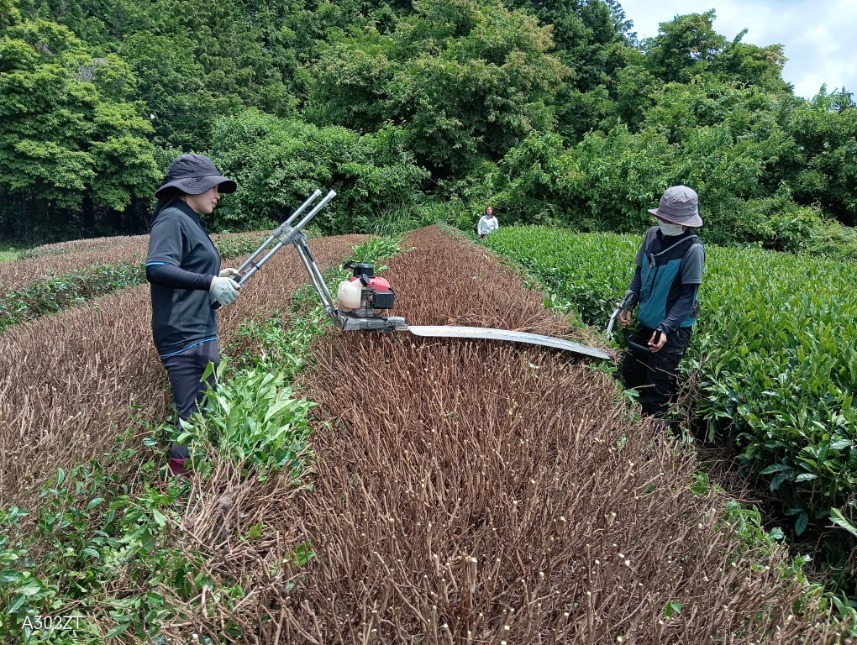cleanedIMG_20260604_111650.jpg
