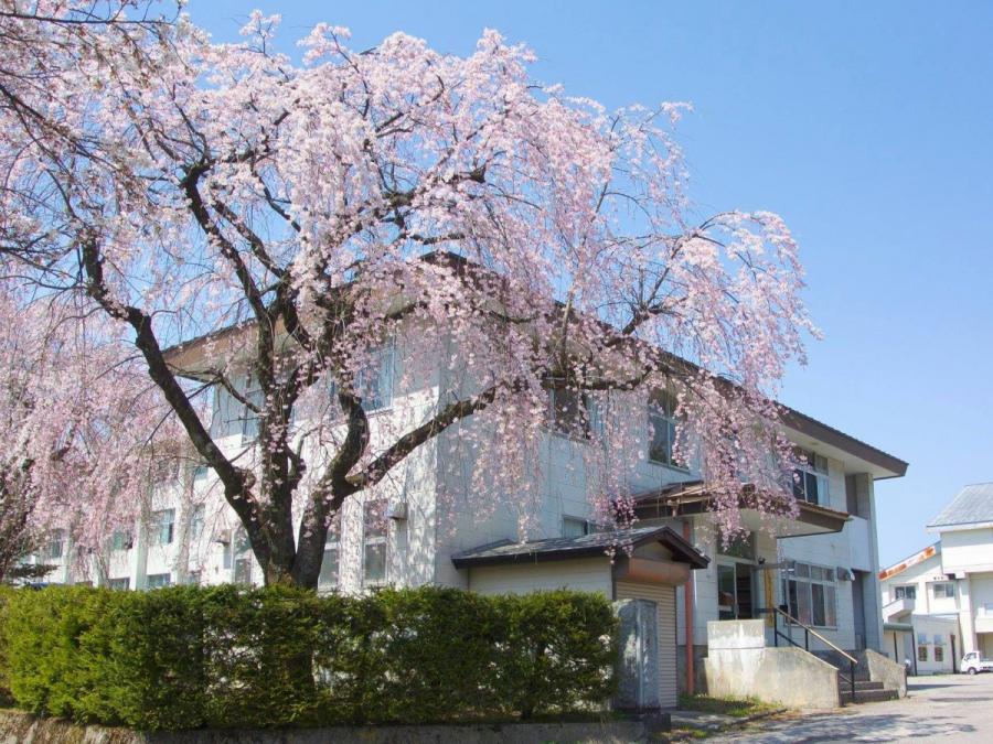 hakubamura2