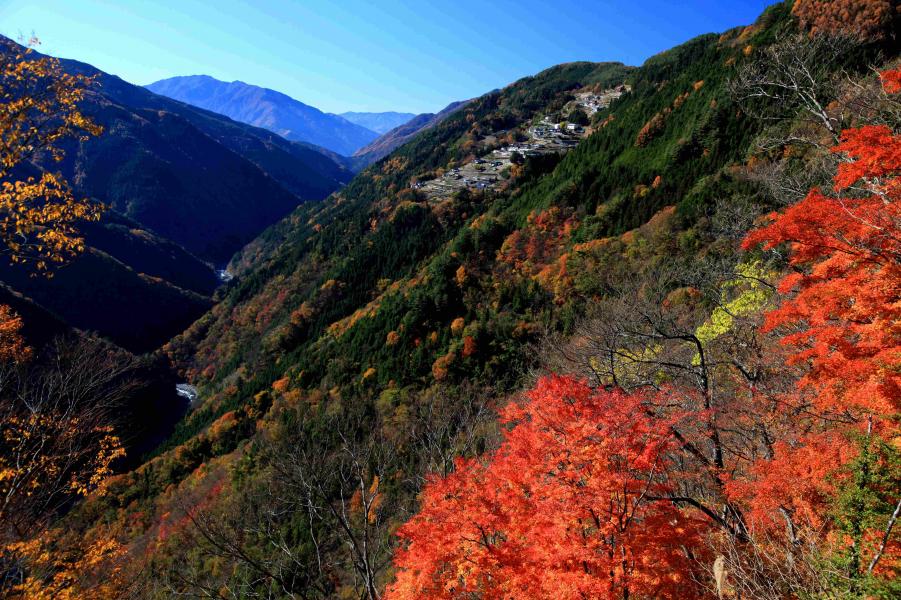 iidashi2
