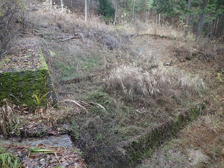 丈厳田04