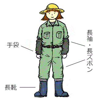 29w-gogai
