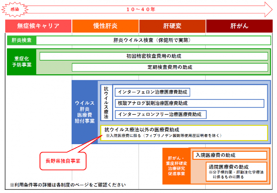 肝炎進行と対策イメージ