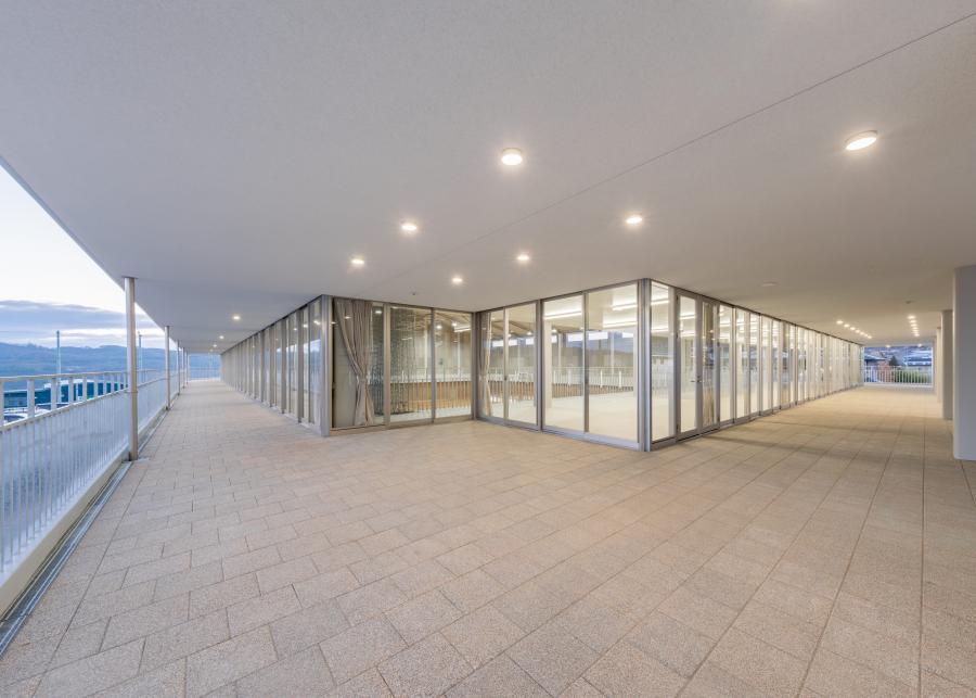 大体育館アプローチ