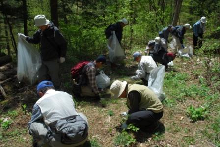 外来植物の抜き取り作業